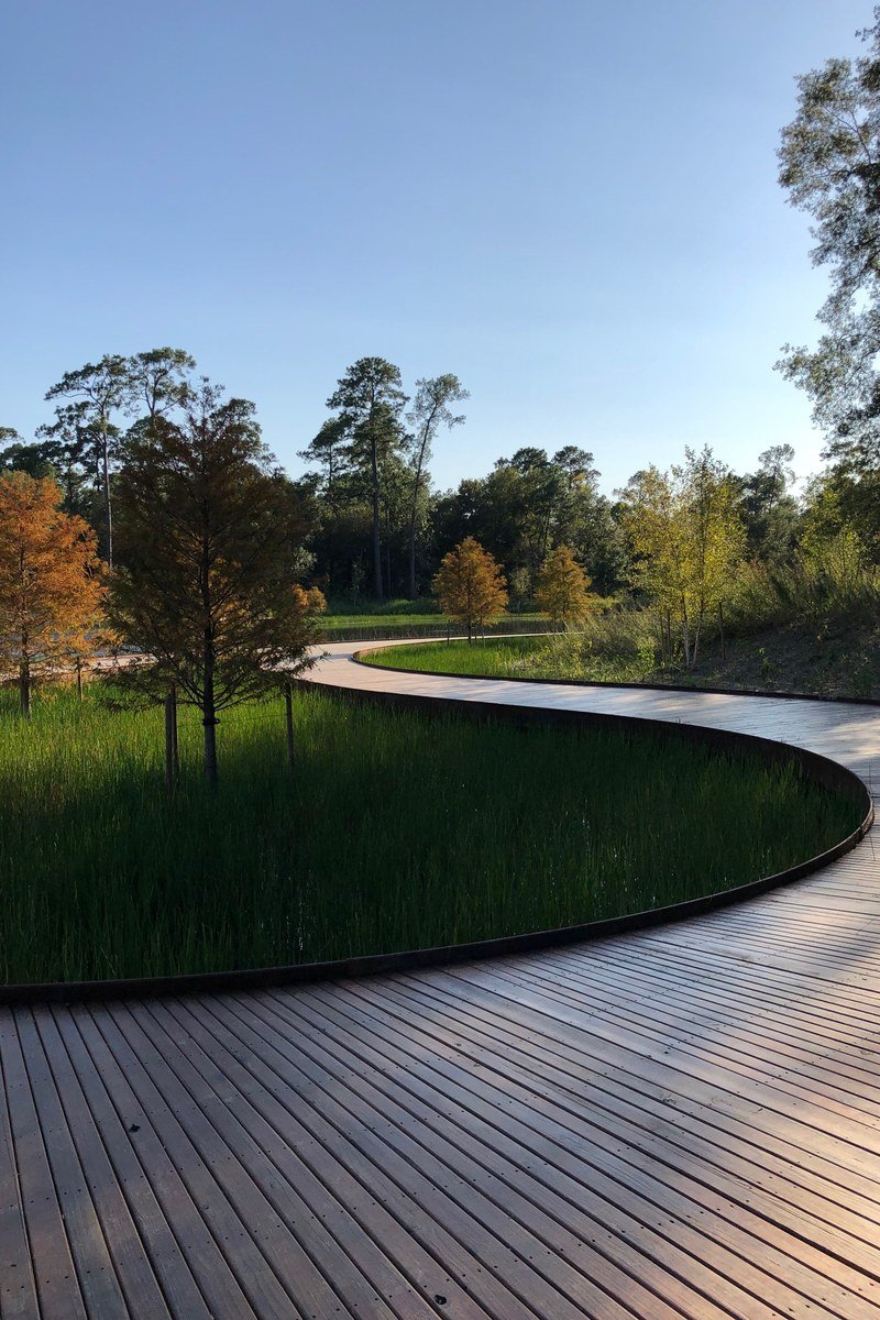 Wooden boardwalk curving through marsh grasses and trees at Memorial Park’s Eastern Glades — licensed Memorial Park location photo for park context; not South Picnic Loop festival grounds and not a photograph of the 2026 Bayou City Art Festival